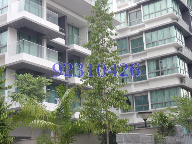Wilkie 80 (D9), Apartment #96595852